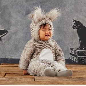 Pottery Barn costume